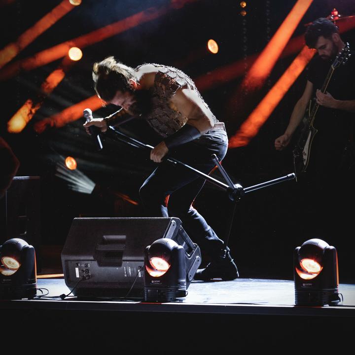 Actual product image LD Systems ICOA 12 12" Passive (Passive)