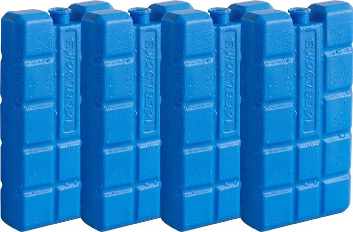 ProWorld Kühlelemente im 4er-Set, Kühlakkus je 200 g