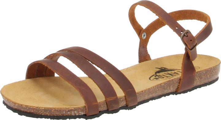 Apure Roble, Brown