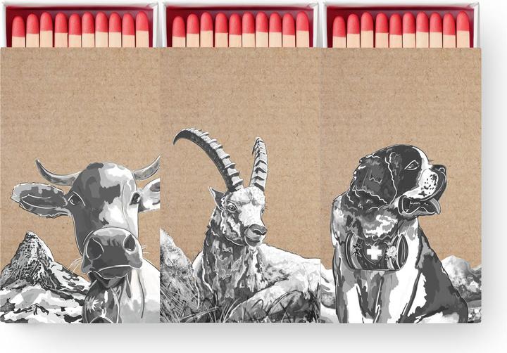 Actual product image Trendform BELLA & FRIENDS matches