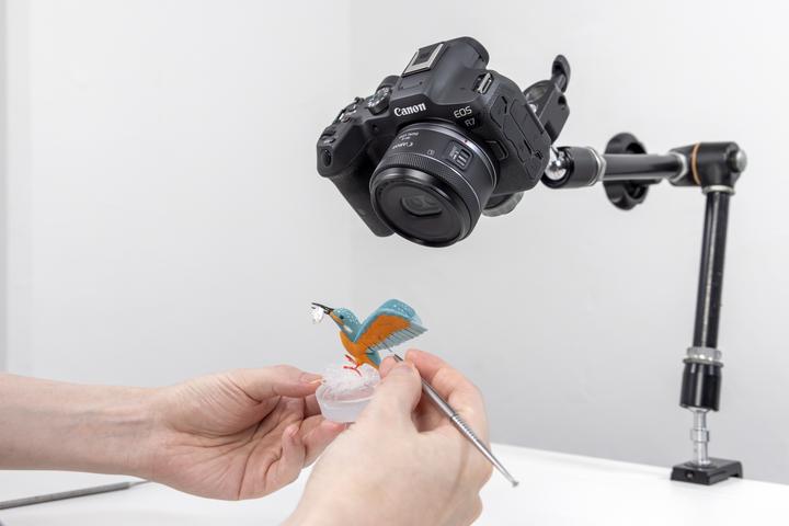 Image du produit Canon RF-S 7.8mm F4 STM Dual (Canon RF-S, APS-C / DX)