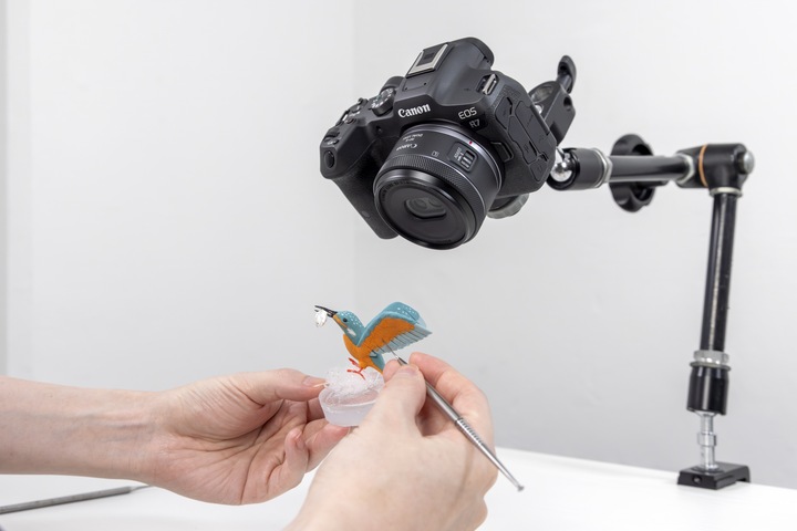 Immagine prodotto Canon RF-S 7,8 mm F4 STM doppio (Canon RF-S, APS-C / DX)