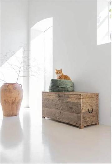 Productafbeelding Designed by Lotte Fluco (Kat)