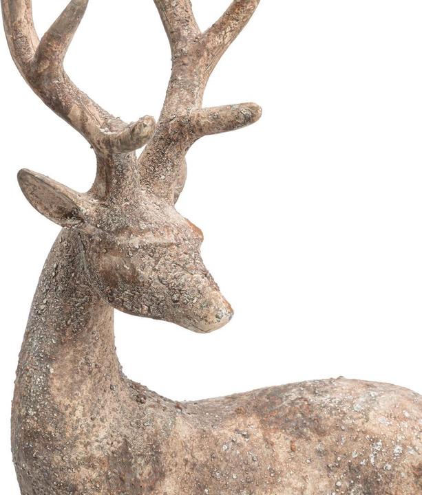 Image du produit pfister Mystic Forest