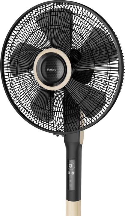 Actual product image Tefal VF5880F0 (35 dB)