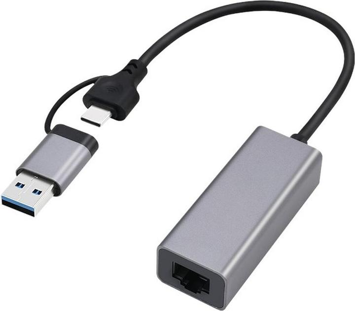Gembird USB-A + Type-C Gigabit-Netzwerkadapter (RJ45 (1x))