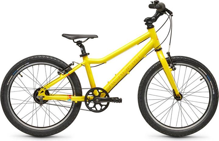 Academy 20" riem graad 4 (20")