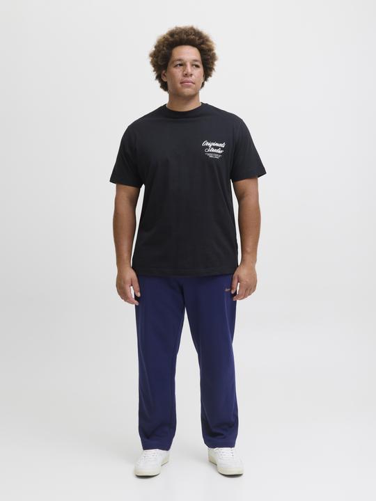 Actual product image Jack & Jones Plus Size Relaxed Fit Relaxed Fit Hosen Relaxed Fit Hosen (40)