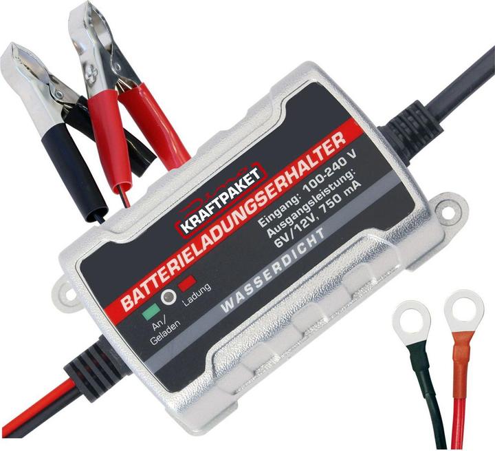 Dino Automatic charger (12V, 6V, 0.75 A)