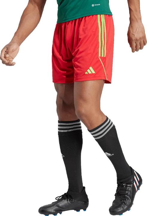 Actual product image adidas Tiro 23 training shorts men (L)