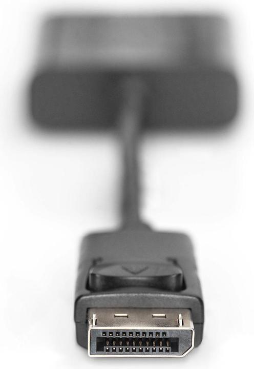 Image du produit Digitus Câble adaptateur DisplayPort (0.15 m)