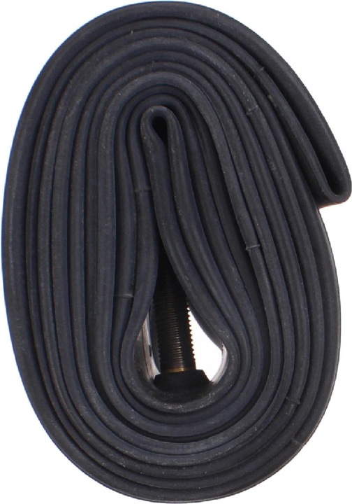 Actual product image Schwalbe SV19 (Presta (SV), 27.5", 28", 29", 40 mm)