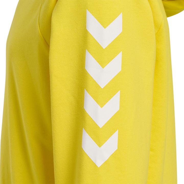 Image du produit hummel Go Kids Hoodie En Coton (152)