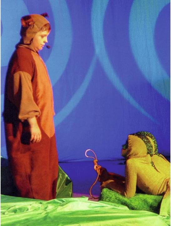 Image du produit Omnilux PAR-64 240V/1000W GX16d NSP 300h H (1000 W, GX16d)