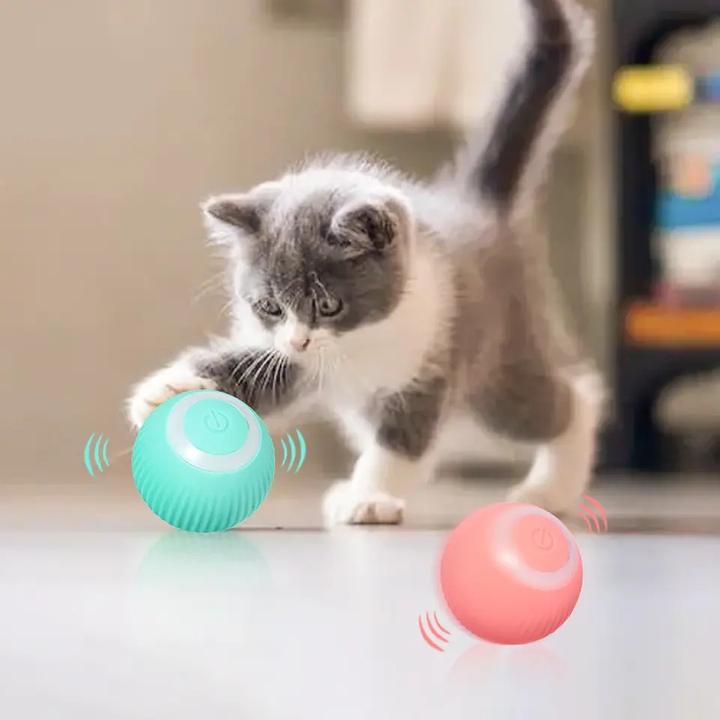 Produktbild Esmée Rollender Spielball 2er Set USB Katzen Spielzeug