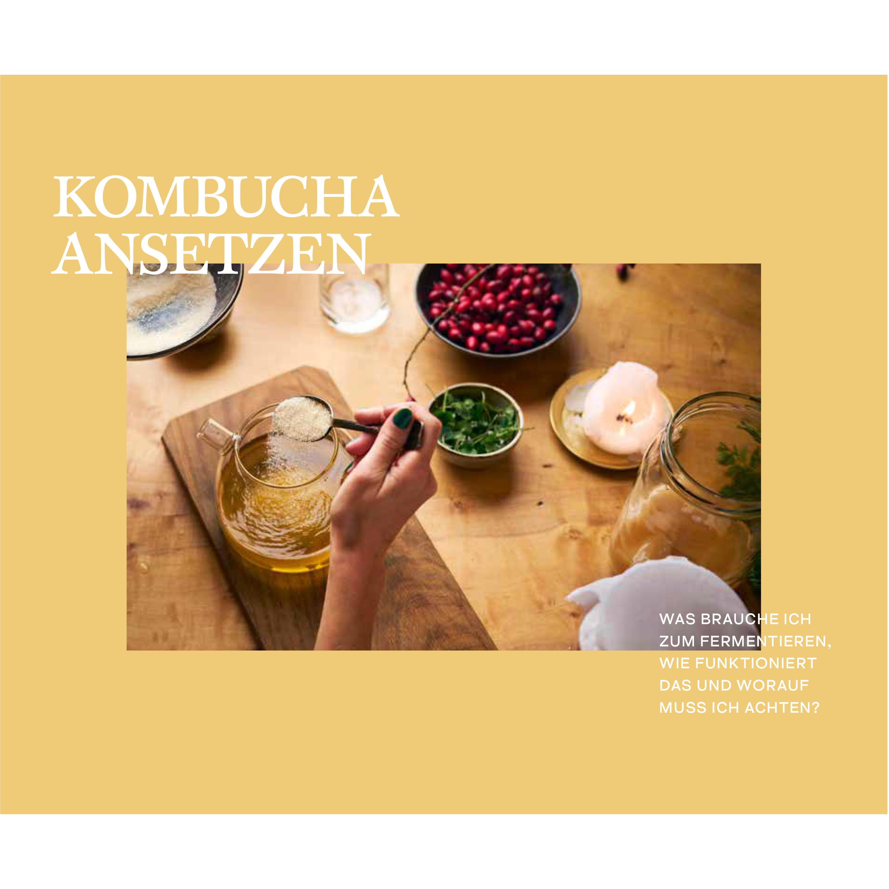 Thumbnail - Kombucha selbst gemacht, Ratgeber von Alexandra Klein