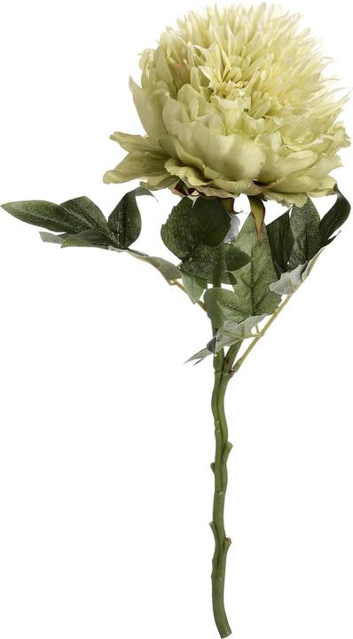 Immagine prodotto Hill Interiors Fiore artificiale Peonia (43 cm)