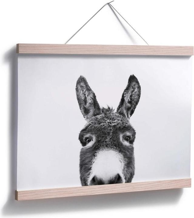 Produktbild Trenddeko Der Esel (80 x 60 cm)