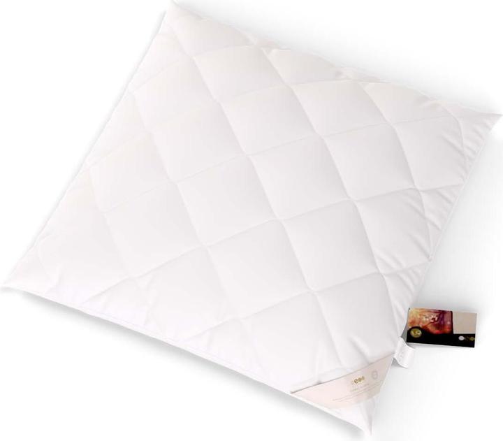 Immagine prodotto Erzstef Allergia Chemnitz (65 x 65 cm)