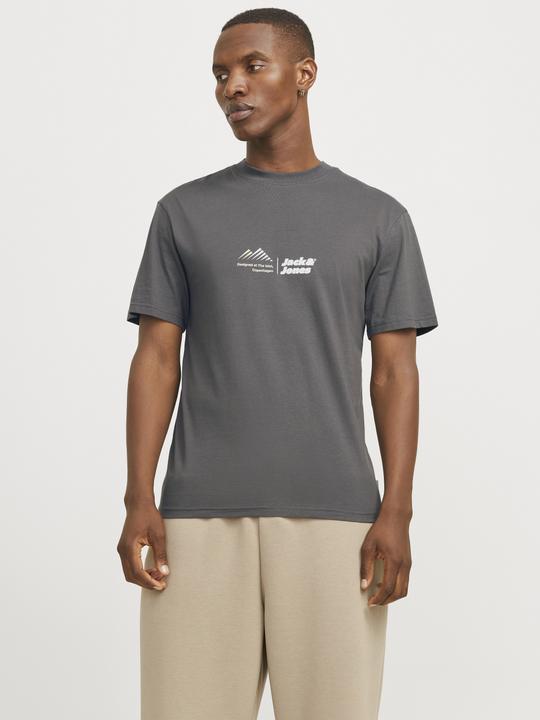 Actual product image Jack & Jones Jcolima Logo Tee Ss Crew Neck Bf Ln (S)