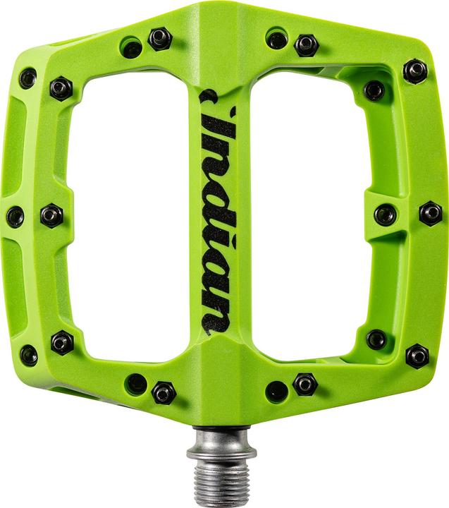 Image du produit Indian Summer Pretty Eagle (bel aigle). Vert clair.