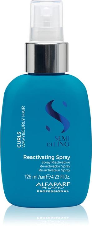 Image du produit Alfaparf Reactivating Spray (Curls) (125 ml)