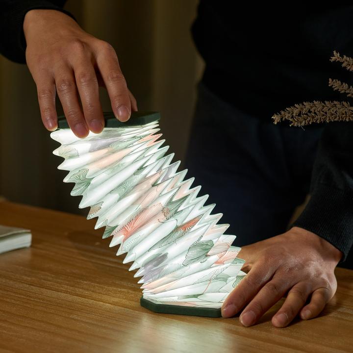 Image du produit Gingko Velvet Accordion Light (450 lm)