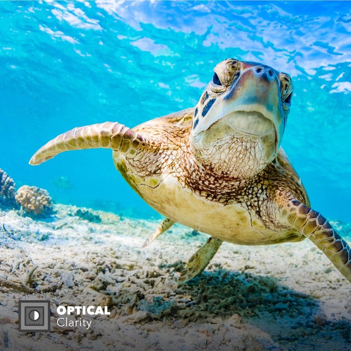 Produktbild PolarPro DiveMaster Für GoPro Hero 8 (Hero 8)