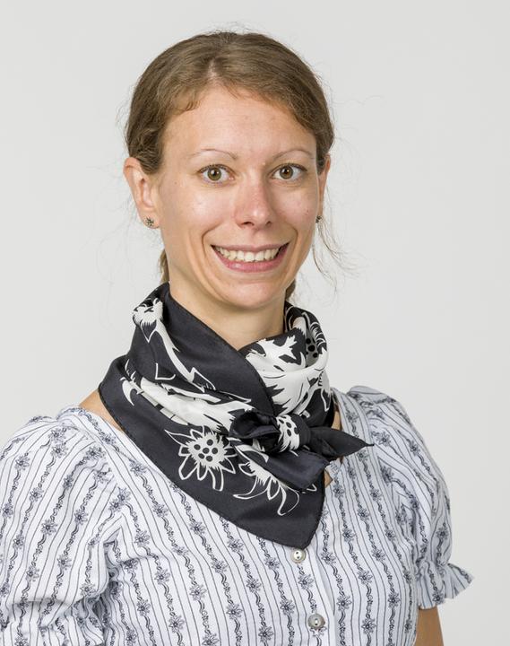 Jenni Hemden Silk foulard silhouette
