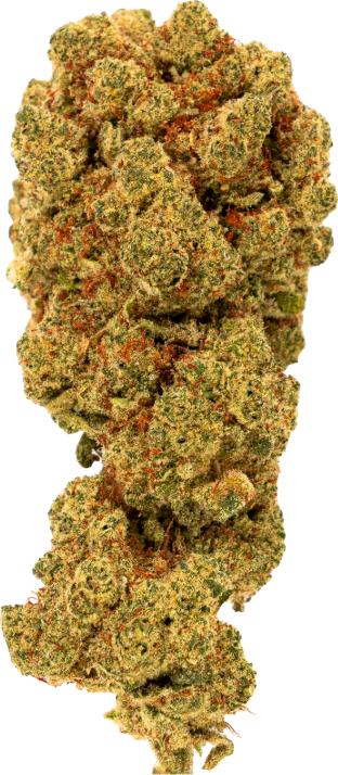Image du produit Green Passion Passion orange (10 g, Intérieur)