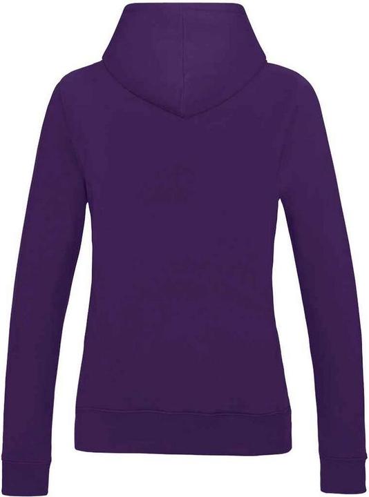 Produktbild Awdis College Kapuzenpullover (XXL)
