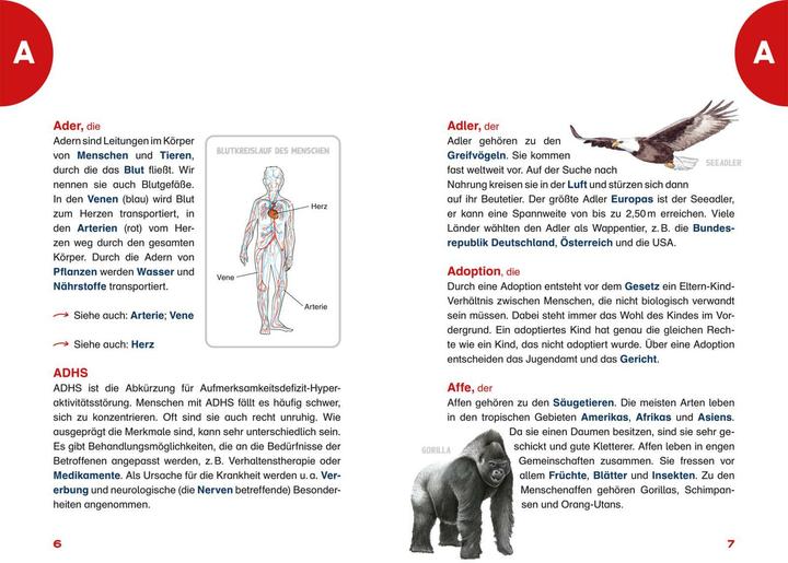 Productafbeelding Das Grundschullexikon (Duits, Cordula Thörner, Diverse, 2024)