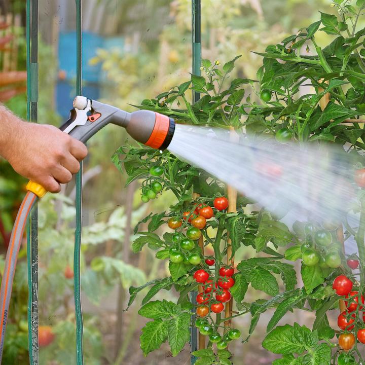 Immagine prodotto Relaxdays Tomatengewächshaus