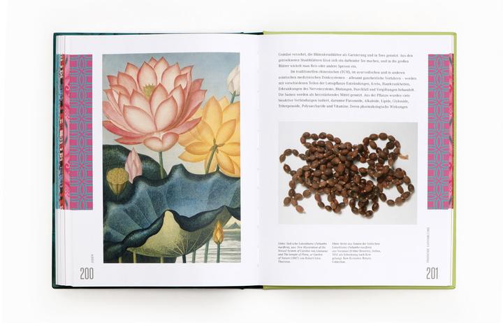 Actual product image Ethnobotanik (German, Bettina Eschenhagen, Sarah Dr Edwards, 2024)