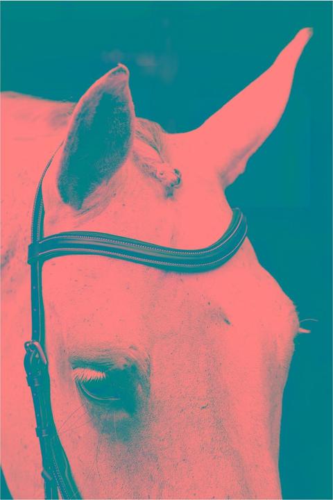 Produktbild Horseware Zaum Micklem Deluxe