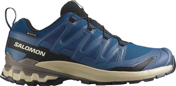 Salomon XA PRO 3D V9 GTX