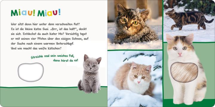 Produktbild Hör mal rein, wer kann das sein? – Kleine Tiere im Schnee (Deutsch, 2022)