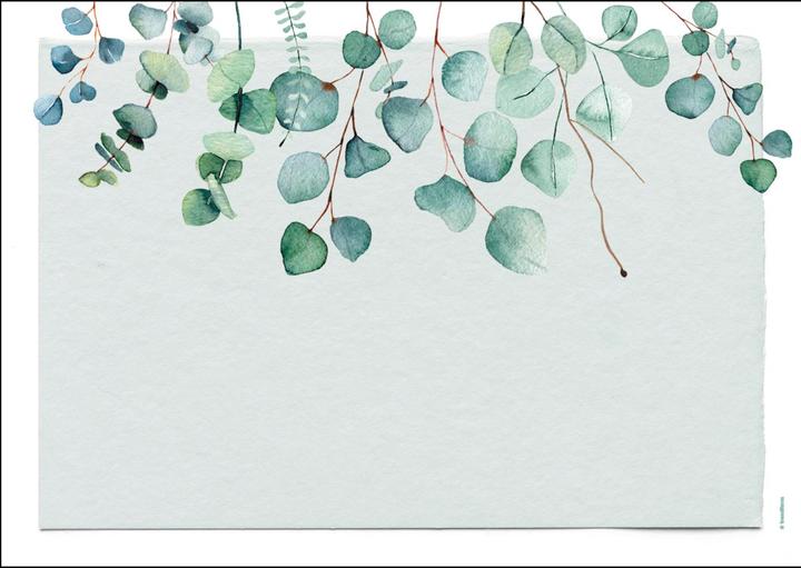 Image du produit Trendform Eucalyptus (12 pcs, 42 x 30 cm)