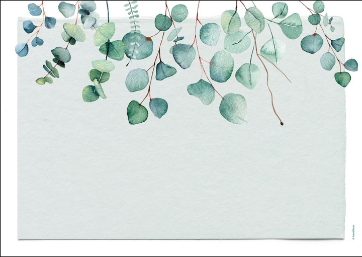 Image du produit Trendform Eucalyptus (48 x, 42 x 30 cm)