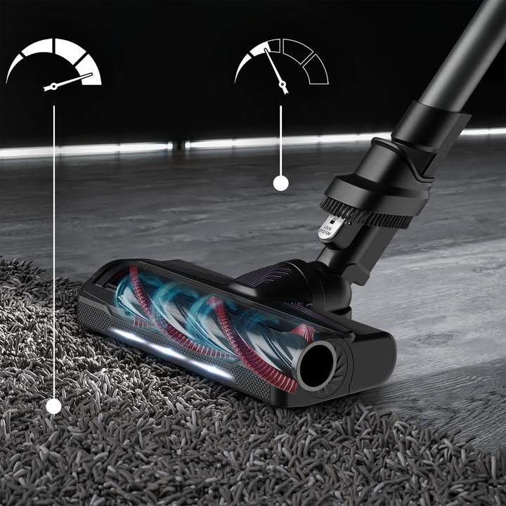 Actual product image Rowenta X-Force Flex 9.60 Allergy RH2038
