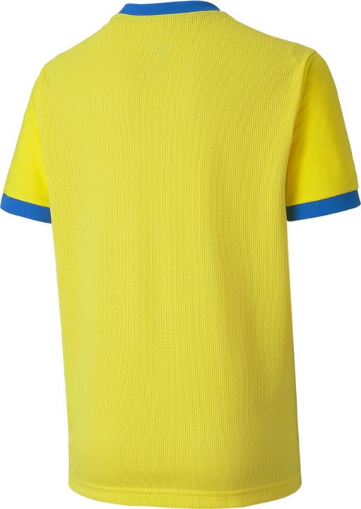 Produktbild Puma teamGOAL 23 Jersey jr-704160 (152)
