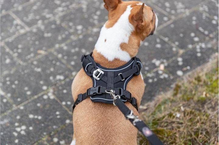 Image du produit Trixie Premium FlexMesh harness, wide fit,L:63–92cm/25mm,black (L, Chien, Général, Promenade)