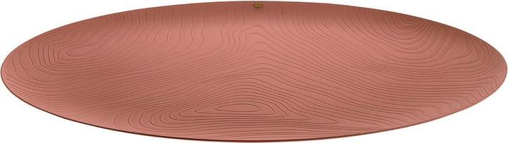 Actual product image Alessi Tray VENEER