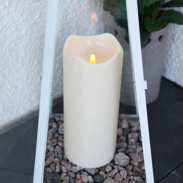 Produktbild Star Trading Paul (1 x)