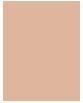 Immagine prodotto Wet n Wild Bare Focus Niacinamide Skin Tint - Fondotinta leggero idratante 32 ml Luce Media (Luce Media)
