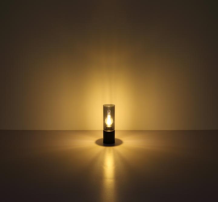 Actual product image Globo Annika (E27)