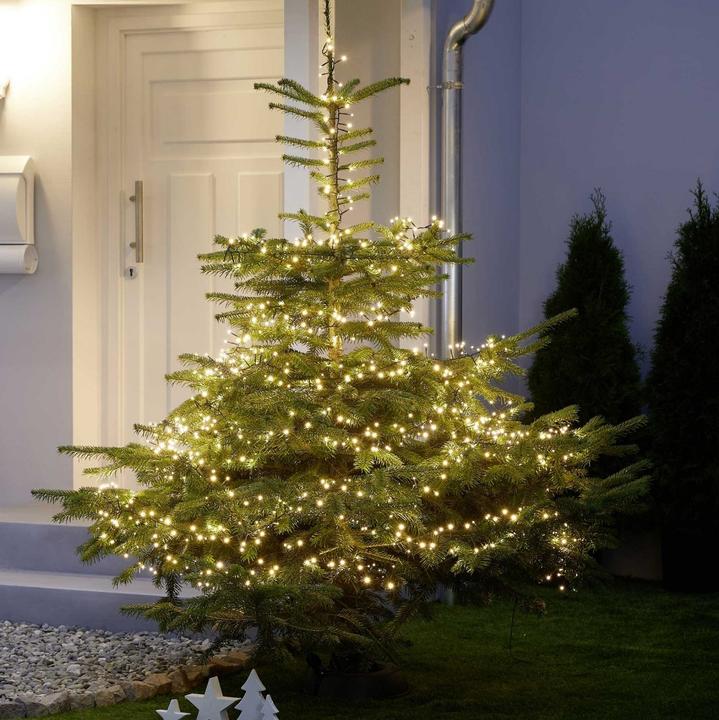 Image du produit PhoneLook Guirlande lumineuse avec 100 LED blanc chaud Longueur 10 mètres Prise EU/CH (10 m)