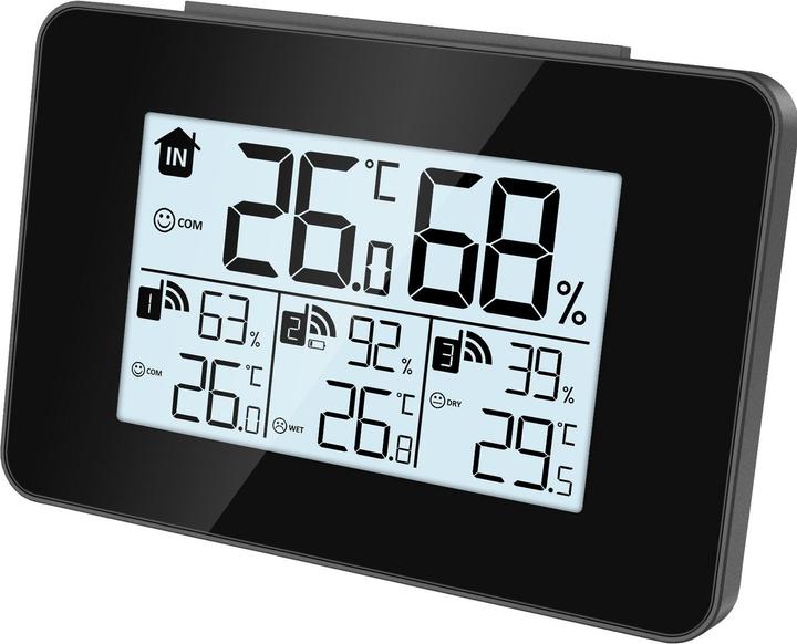 Actual product image Wellcraft Thermo-hygrometer set