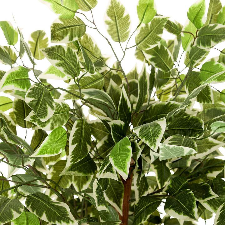 Produktbild Bümö Kunstpflanze Birkenfeige (ficus) (165 cm)