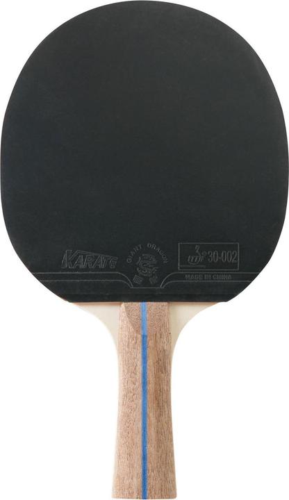 Actual product image Hudora Game